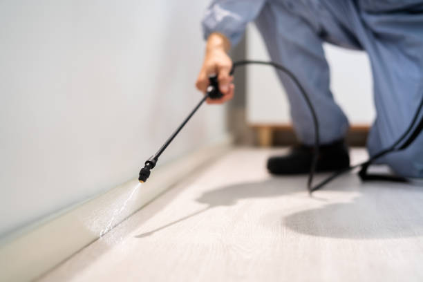 Certified termite inspector examining foundation in Lewisburg
